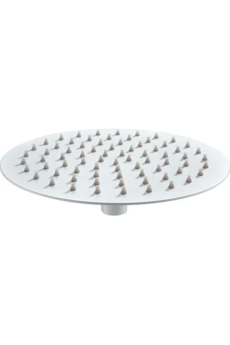 Pomme de douche RDN003